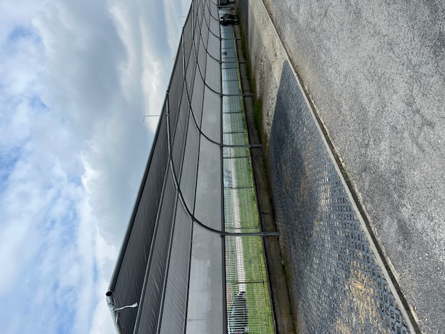 Pensilina Euromet — n. 6